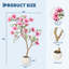 23.62cm Plant