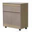 Arlinde 27'' Wide Rolling Kitchen Cart-734695280