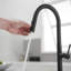 Robinet de cuisine amovible VIBRANTBATH-93524854