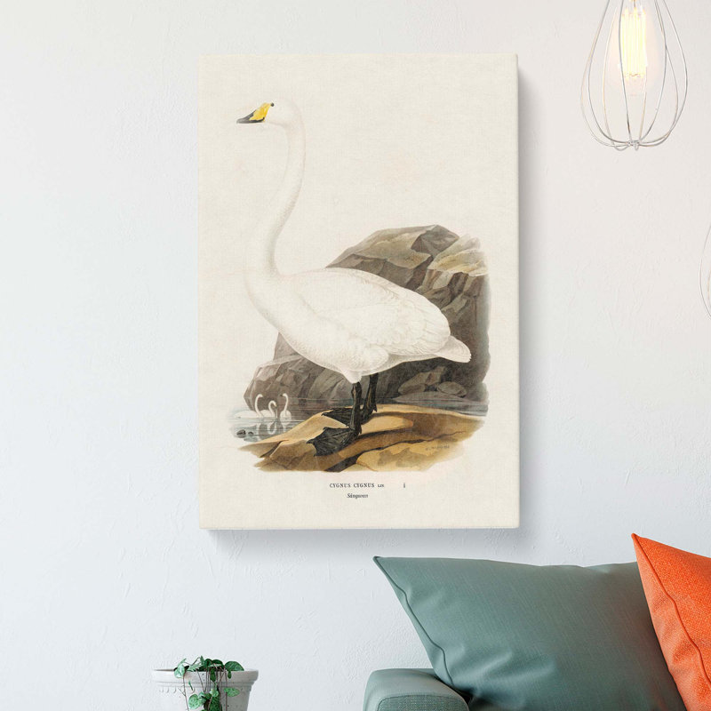 Whooper Swan by Von Wright - Wrapped Canvas, 76cm H x 50cm W x 3cm D