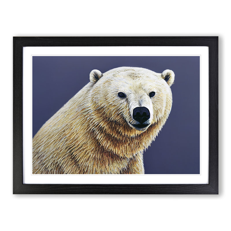 Incomparable Polar Bear - Single Picture Frame Print, 25cm H x 34cm W x 2cm D, Black