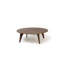 Pirwi Coffee Table