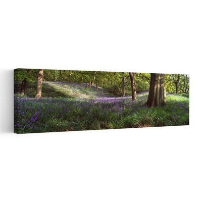Bluebells in a forest, Newton Wood, Texas, États-Unis, art abstrait contemporain, forêt violette, forêt violette