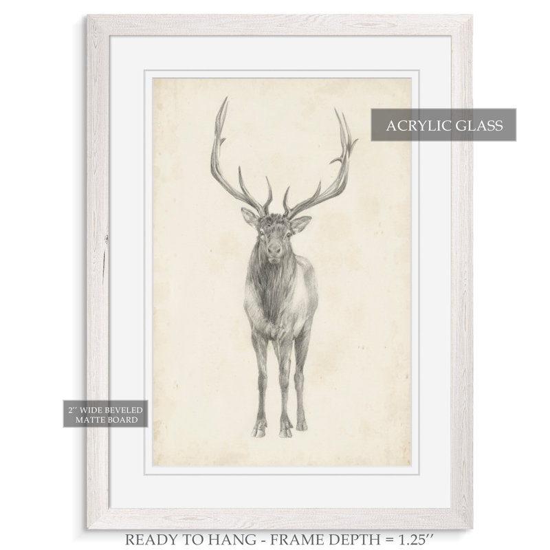 " Elk Study " by Paul Cezanne, 30" H x 22" W x 1.25" D, White Paper Framed