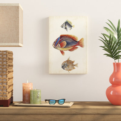 " Antique Fish Species IV " Painting Print