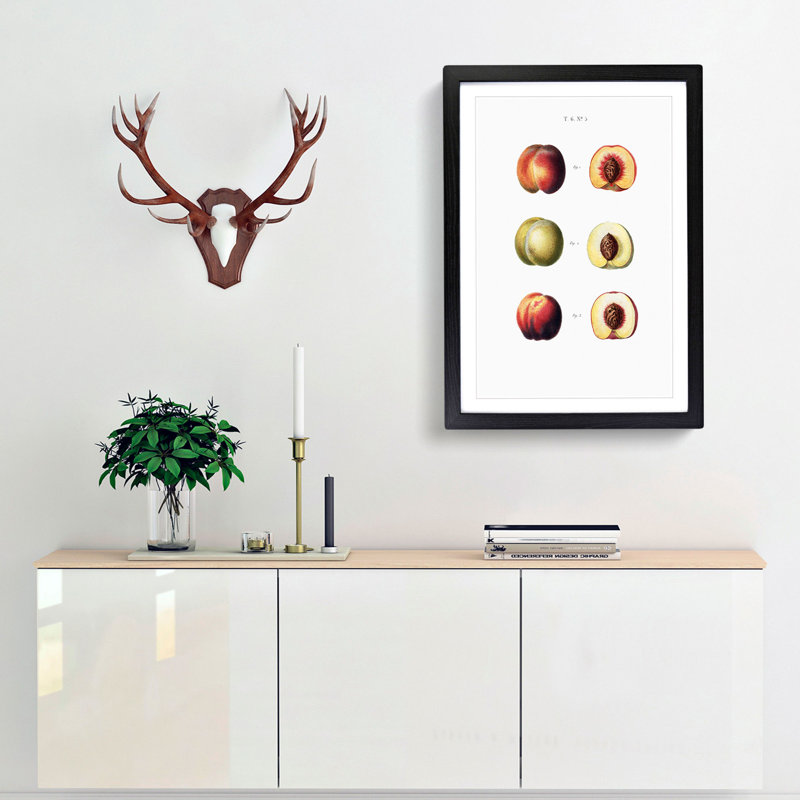 Study of Peaches by Pierre-Joseph Redoute - Picture Frame Painting Print, 48cm H x 36cm W x 2cm D, Black Framed