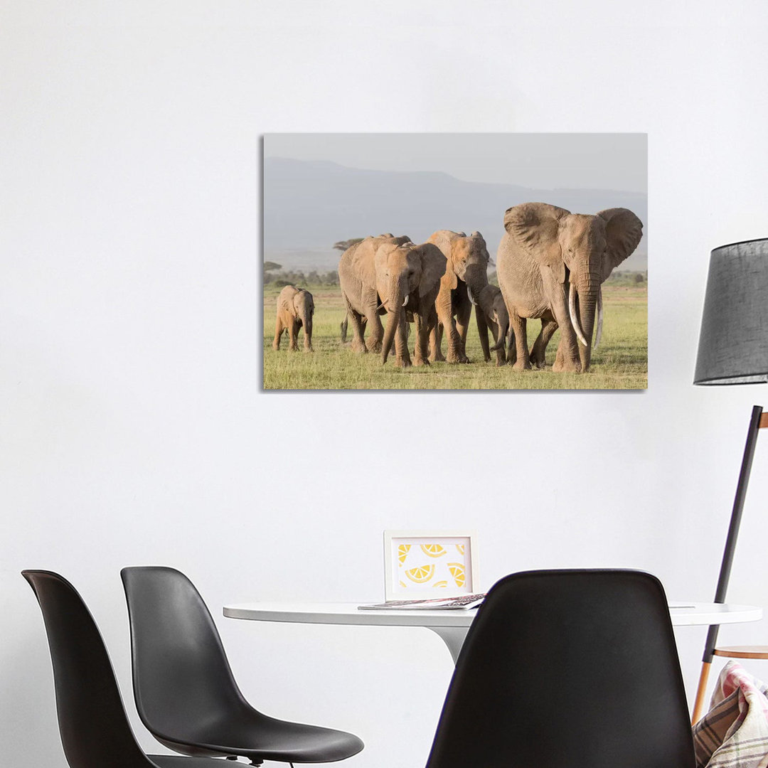 Africa, Kenya, Amboseli National Park. Elephants On The March. by Jaynes Gallery - Wrapped Canvas Print