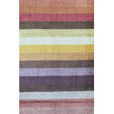 Striped Area Rug in Multicolor