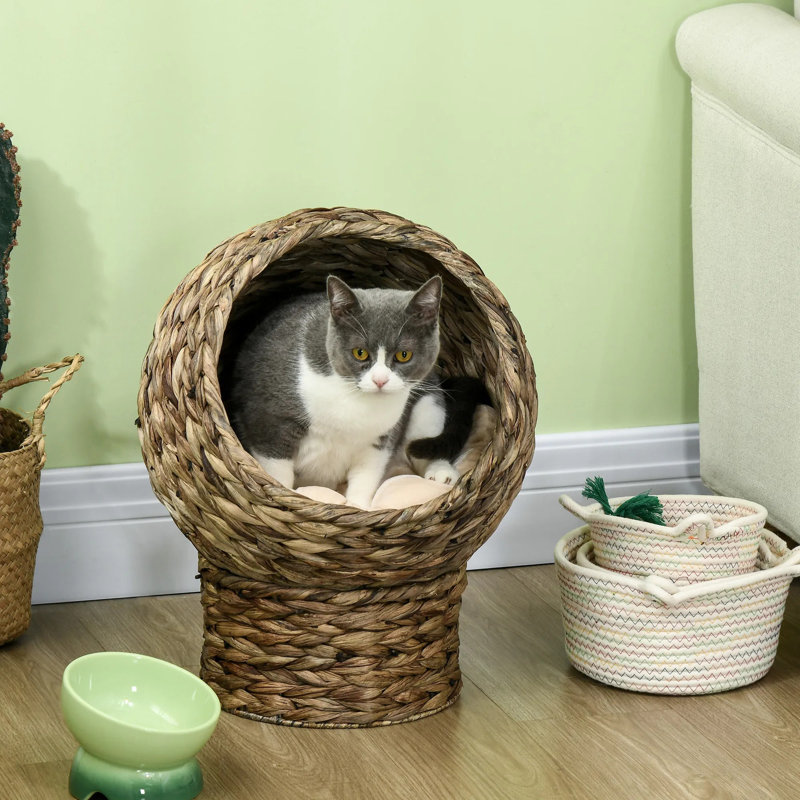 Lit pour chat surélevé tissé à la main avec coussin moelleux - forme de chaise d'œuf rotative, panier en osier surélevé pour chats d'intérieur