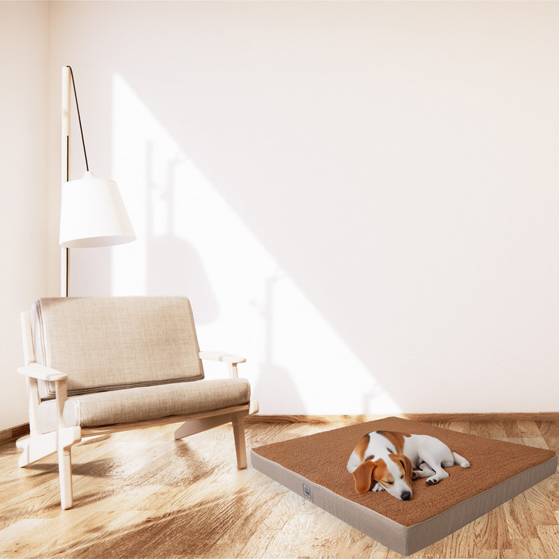 Jungolica Orthopedic Pet Bed, 80cm H x 60cm W x 8cm D, Brown