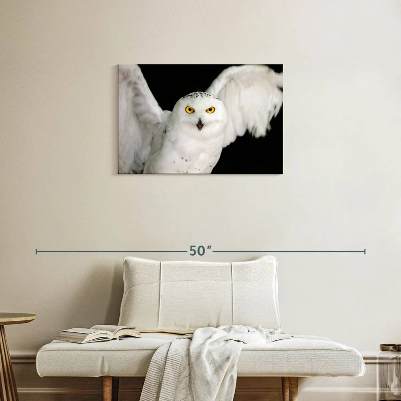 Brampt White Owl, 20" H x 30" W