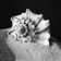 House of Hampton Sad Little Seashell | Wayfair.co.uk