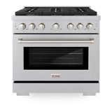 ZLINE 36 in. Paramount Dual Fuel Satin Steel Range w/ 6 Burners & Door