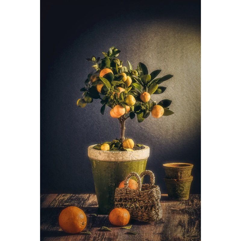 Wrapped Canvas Print, 91.44 cm H x 60.96 cm W