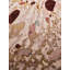 Oyster Hand Knotted Wool/Silk Abstract Area Rug in Brown/Beige/Gold/Orange by Chihuly-1822873656