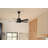 Lucian II 42'' Ceiling Fan
