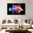 Brampt Rainbow Lionfish-108062897