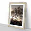 Leopard Siesta - Picture Frame Painting Print-55582643-55582645