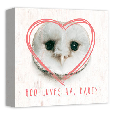 Hibou love Mccreery