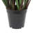 36" Artificial Potted Green Grass and Eucalyptus.