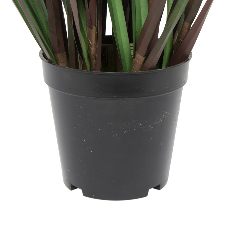 36" Green Plastic Potted Grass and Eucalyptus Arrangement
