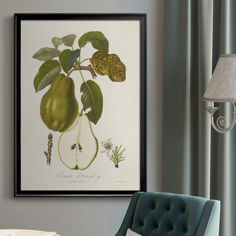 Vintage Pears IV - reproduction de cadre photo sur toile, Cadre noir, H 30,5 po x l 22,5 po x P 1 po