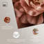 Ensemble de 2 reproductions d'art sur toile -2064936740-2064936743-2064936761