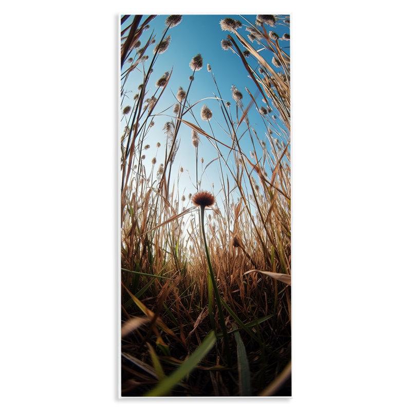 Daydream Botanical Meadow Wall Plaque, design by Decent Exposures