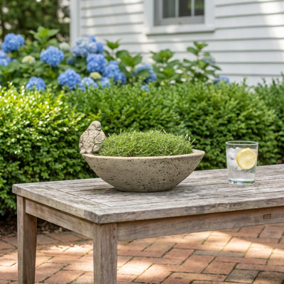 Renfri 12" Pot Planter