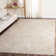 Ellicott Performance Oriental Rug
