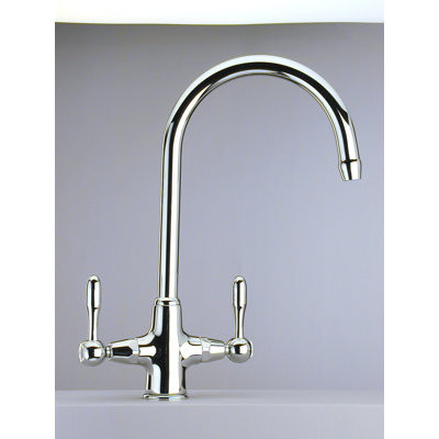 Whooper Swan