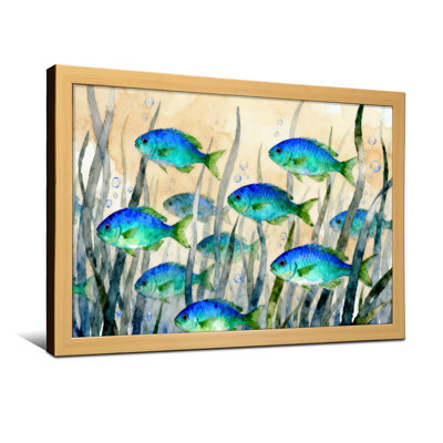 Animal Blue Fish Swimming Among Seaweed Bubbles
