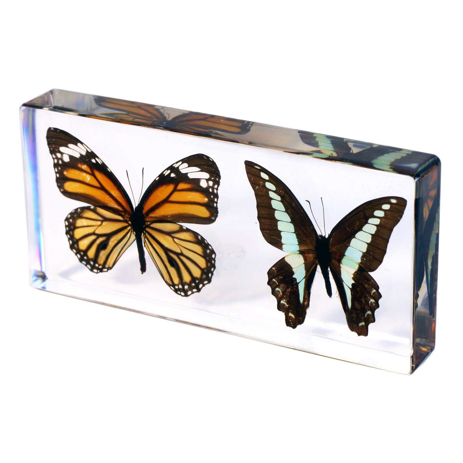 4.7 Inch Monarch Butterfly Decoration Fake Butterflies for Crafts  Artificial But
