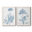 Antique Botanical In Blue V - ensemble de 2 peintures sur toile encadrées-1586218854-1586218843