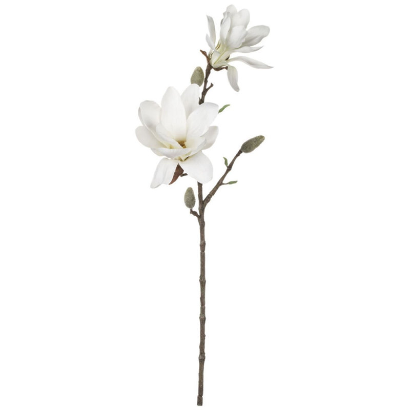 Magnolia Arrangement