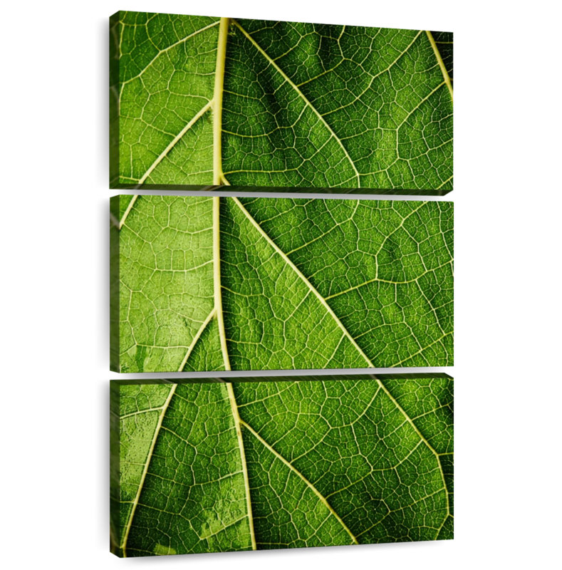 Harnek Green Leaf Details, 32" H x 20" W