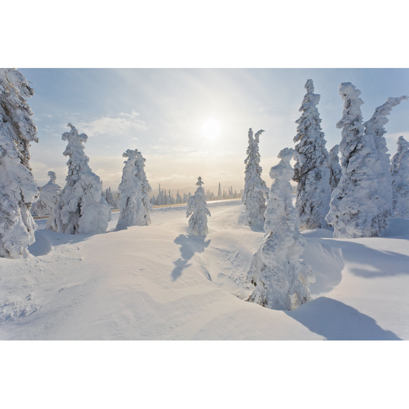 Extreme Winter Landscape - Wrapped Canvas Print, 61cm H x 91cm W x 3.8cm D