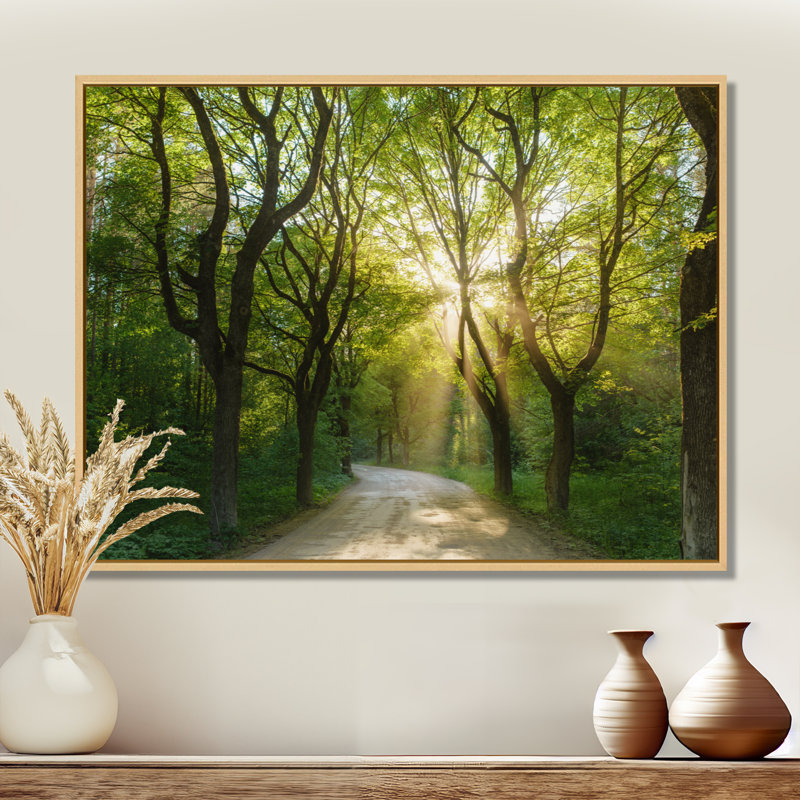 «Evening in Green Forest», art mural sur toile, H 30 po x l 40 po, Cadre flottant érable
