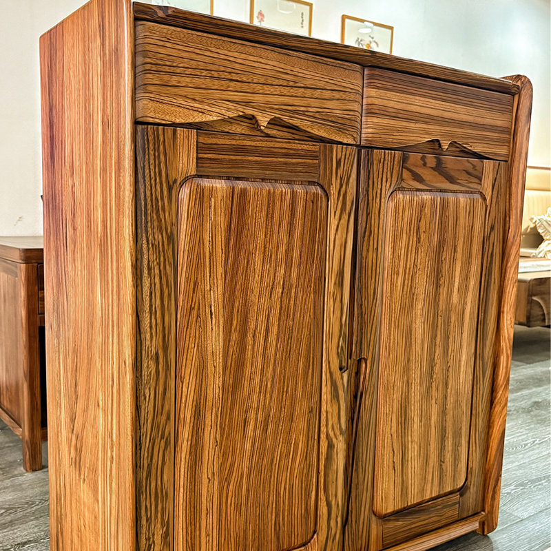 Modern simple storage shoe cabinet