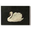 «Vintage Animal Print - XL» sur toile-848855904-848855910