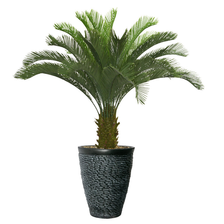 Panama 68'' Faux Palm Tree Plant in Fiberstone Planter