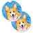 Corgi brun sélectionné