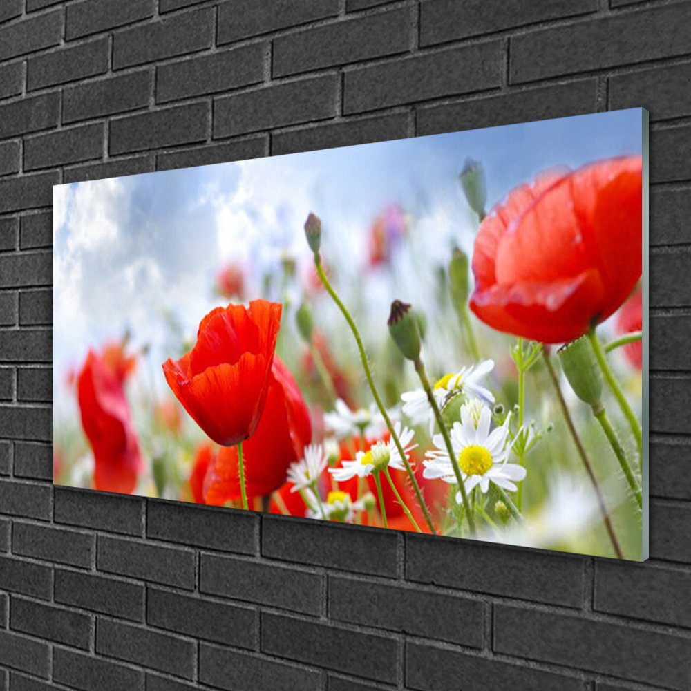 Glasbild Floral Poppies Daisies