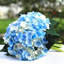 Tiges d'hortensia en soie artificielle-542064845