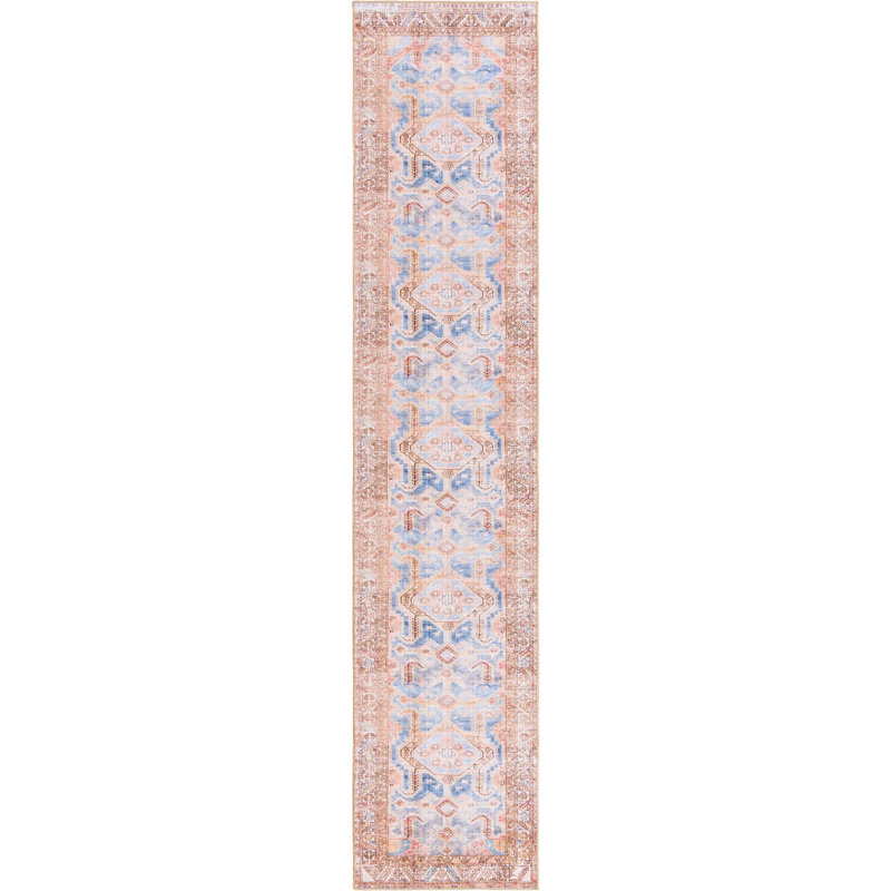 Mcclamma Chenille Oriental Indoor Rug, Runner 2'6" x 12'