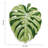  Large Monstera Leaf Bath Mat, Non Slip Green Plant Bathroom Rug, Absorbent Cute Palm Shaped Bathtub Rug Plush Shower Rugs (32"x26")-2018496168-2017878742