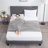 Nestl Horizontal Channel Upholstered Platform Bed-101071459-101071461