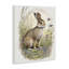 Rabbit with Meadow Blooms Canvas Wall Art by Denise Dundon-127613254