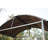 Blandy 2.5m W x 1.2m D Metal Gazebo