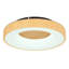 Caelab LED Flush Mount-389251531-389251528